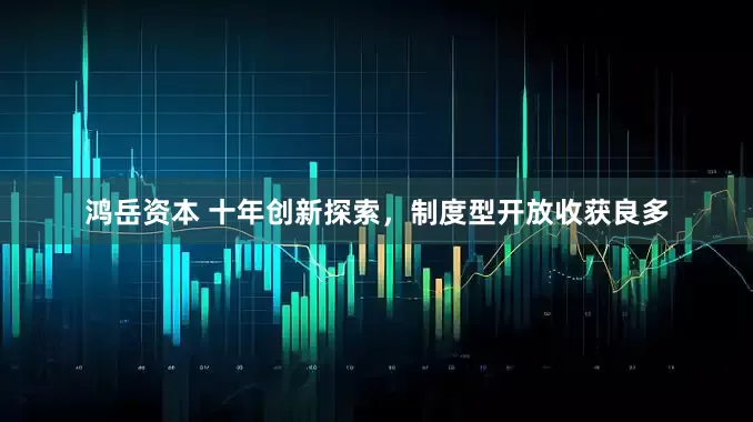 鸿岳资本 十年创新探索，制度型开放收获良多
