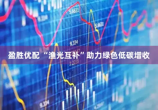 盈胜优配 “渔光互补”助力绿色低碳增收