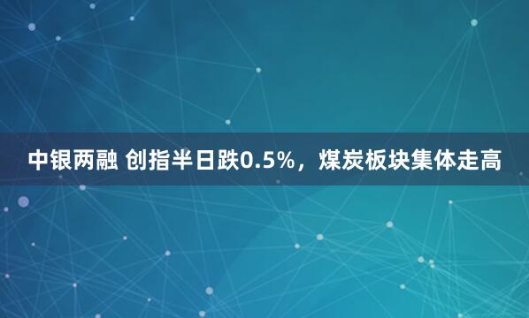 中银两融 创指半日跌0.5%，煤炭板块集体走高