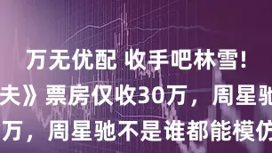 万无优配 收手吧林雪! 翻拍《功夫》票房仅收30万，周星驰不是谁都能模仿的